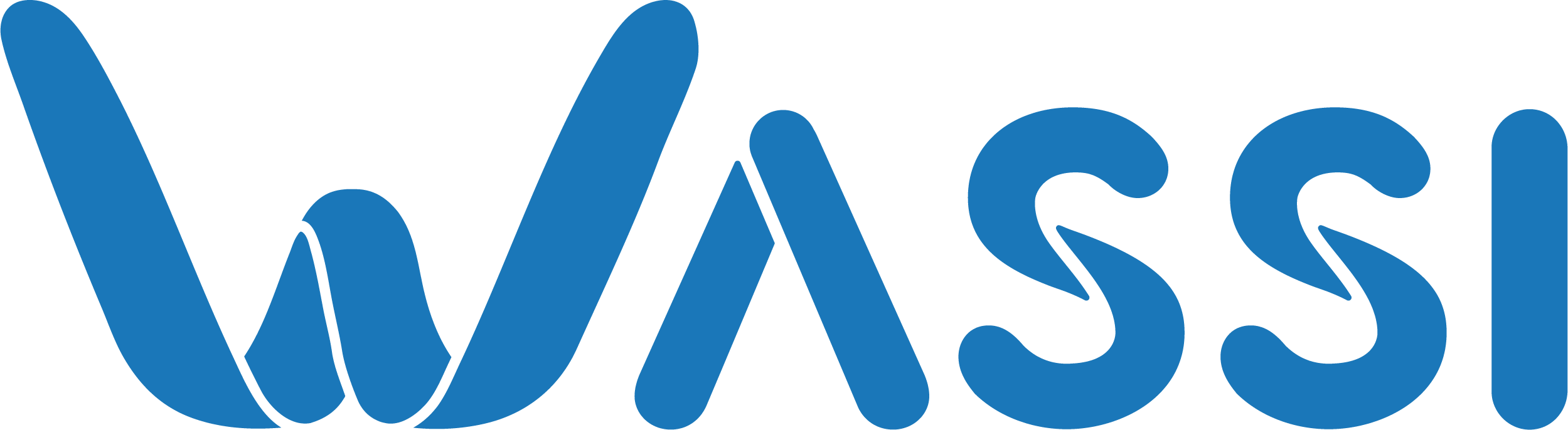 Wassi Logo